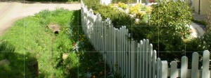 garden fencing