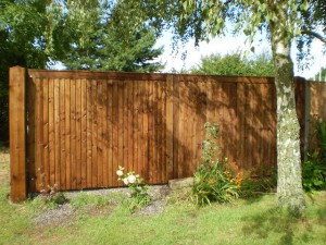 garden fence 2