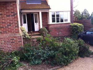 Front Garden Steps (before shot)