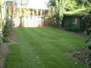 A New Garden Lawn