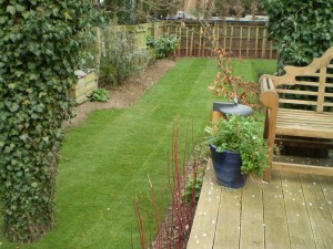 A New Garden Lawn