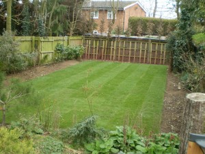 A New Garden Lawn